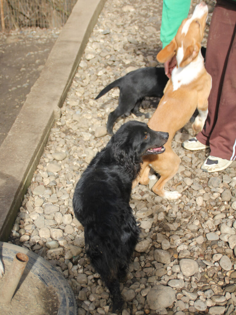 20260222-fotos-ralf-2