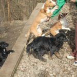 20260222-fotos-ralf-3