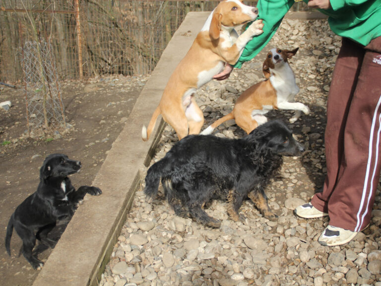 20260222-fotos-ralf-3