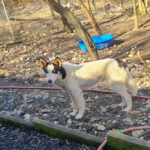 20260222-fotos-sasaki-01