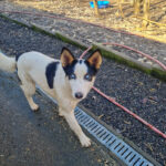 20260222-fotos-sasaki-02