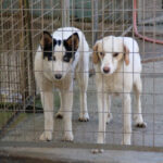 20260222-fotos-sasaki-05