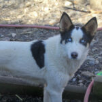 20260222-fotos-sasaki-07