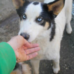 20260222-fotos-sasaki-09