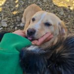 20260222-fotos-sassy-01