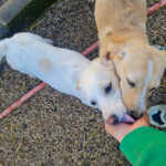 20260222-fotos-sassy-03