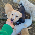 20260222-fotos-sassy-04