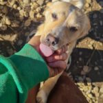 20260222-fotos-sassy-05