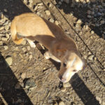 20260222-fotos-sassy-07