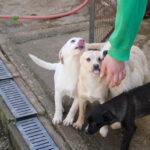 20260222-fotos-sassy-09