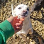 20260222-fotos-skipper-05_Edited