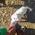 20260222-fotos-skipper-06