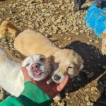 20260222-fotos-skipper-07