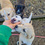 20260222-fotos-skipper-09