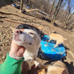 20260222-fotos-skipper-12