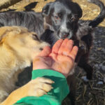 20260222-fotos-sushi-1