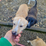 20260222-fotos-sushi-2