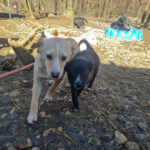 20260222-fotos-sushi-5