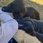 20260222-fotos-sushi-7