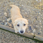 20260222-fotos-suzuki-01