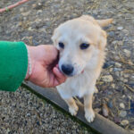 20260222-fotos-suzuki-02