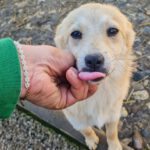 20260222-fotos-suzuki-03