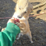 20260222-fotos-suzuki-06