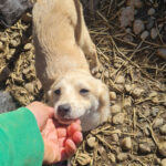 20260222-fotos-suzuki-07