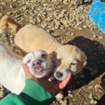 20260222-fotos-suzuki-09