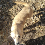 20260222-fotos-suzuki-10