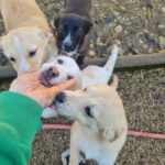 20260222-fotos-suzuki-13