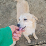 20260222-fotos-suzuki-14