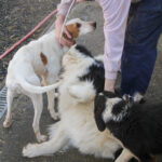 20260222-fotos-takita-02