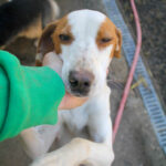 20260222-fotos-takita-04