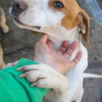 20260222-fotos-takita-05