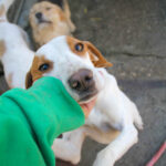 20260222-fotos-takita-06