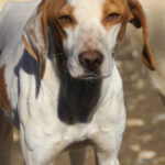 20260222-fotos-takita-07