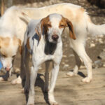 20260222-fotos-takita-09