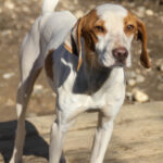 20260222-fotos-takita-10