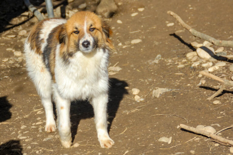 20260222-fotos-wilhelm-1