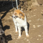 20260222-fotos-wilhelm-3
