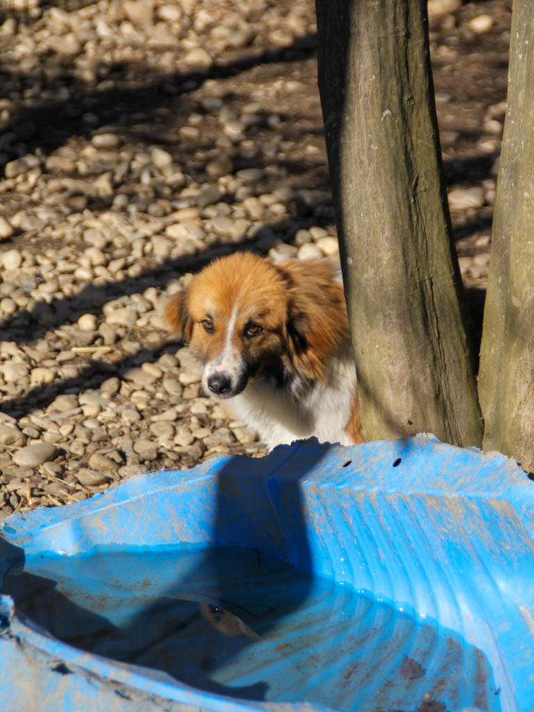 20260222-fotos-wilhelm-4