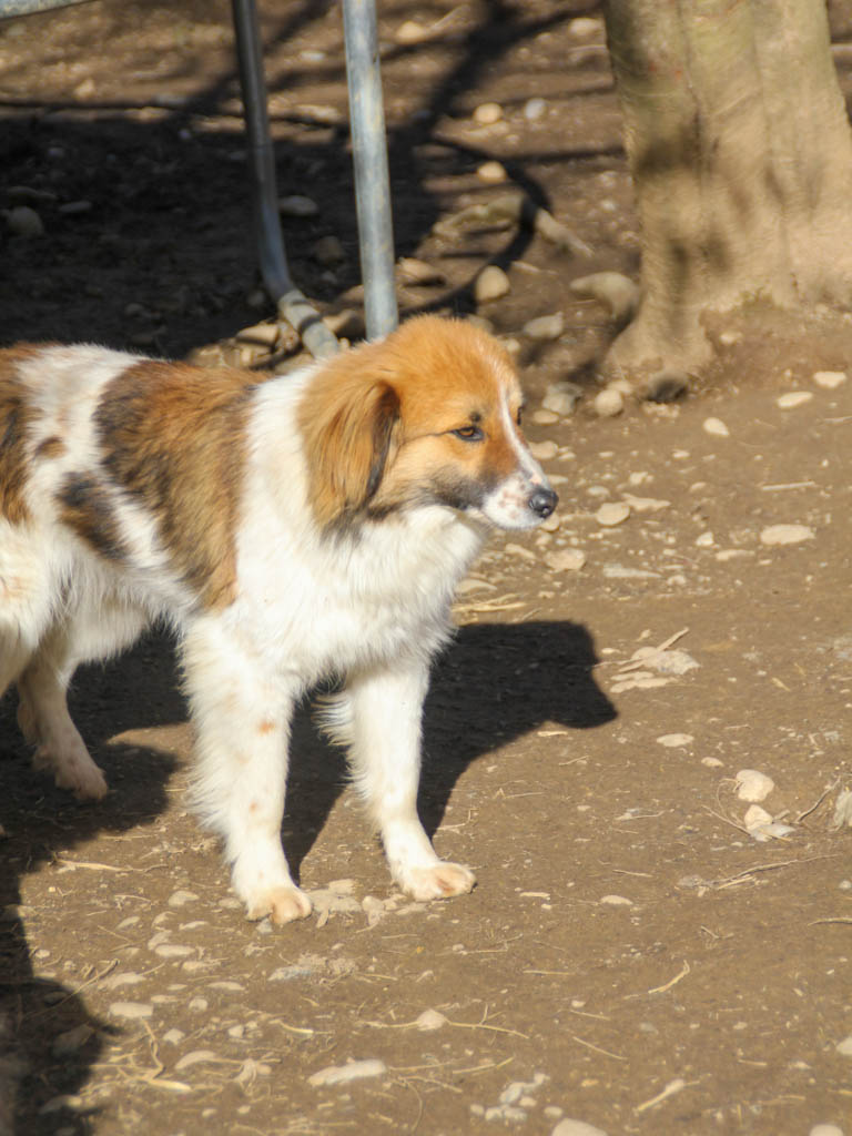 20260222-fotos-wilhelm-5