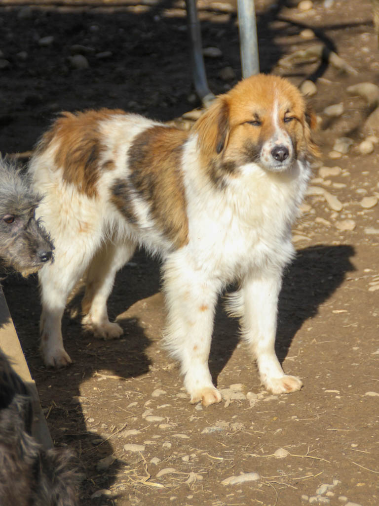 20260222-fotos-wilhelm-6