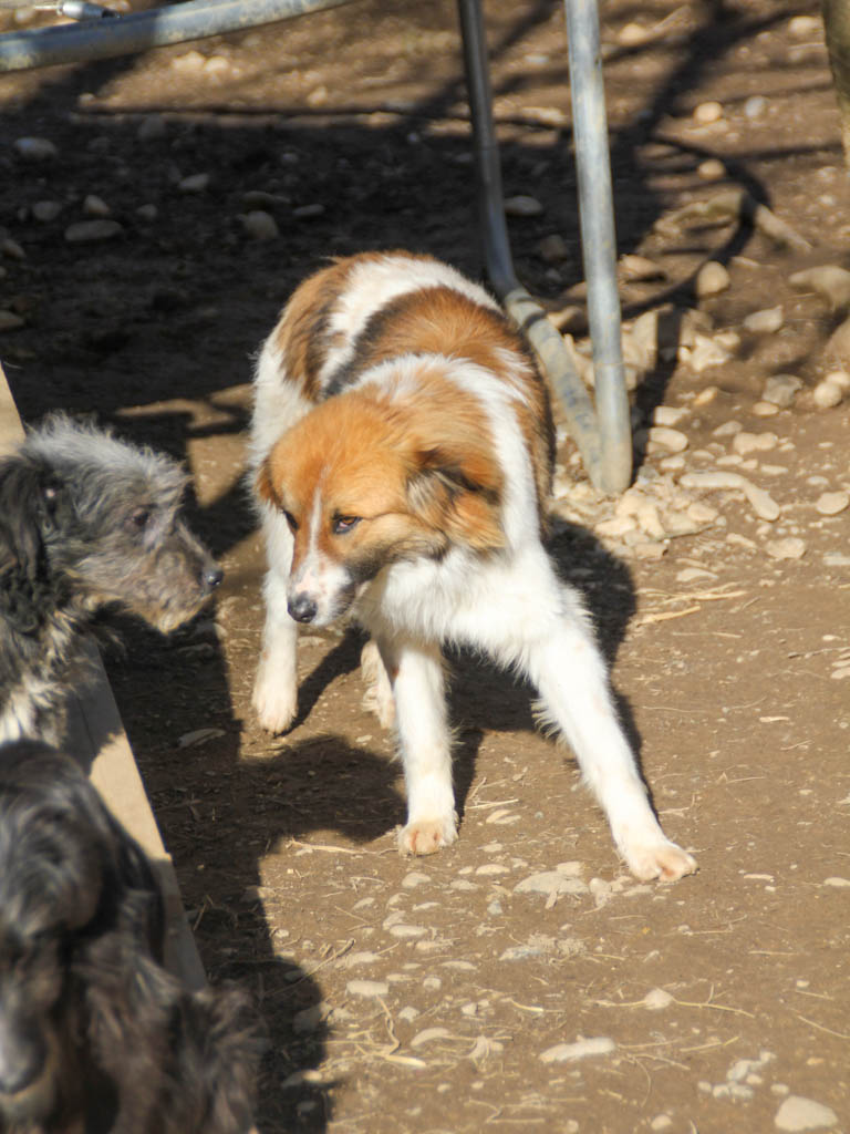 20260222-fotos-wilhelm-8