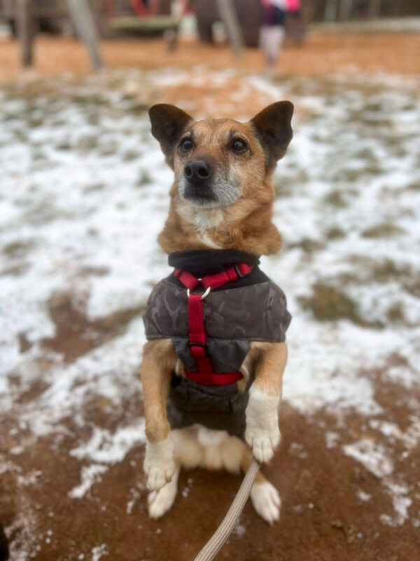 20260224-news-amon-alfred-1