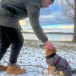 20260224-news-amon-alfred-2