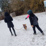 20260224-news-amon-alfred-3