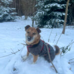 20260224-news-amon-alfred-4