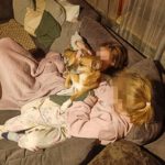 {"remix_data":[],"remix_entry_point":"challenges","source_tags":["local"],"origin":"unknown","total_draw_time":0,"total_draw_actions":0,"layers_used":0,"brushes_used":0,"photos_added":0,"total_editor_actions":{},"tools_used":{"effects":1},"is_sticker":false,"edited_since_last_sticker_save":true,"containsFTESticker":false}